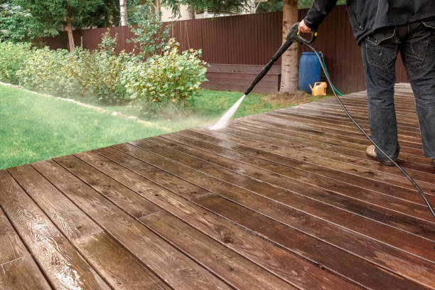 Best Solar Panel Cleaning  in Lifornia City, CA